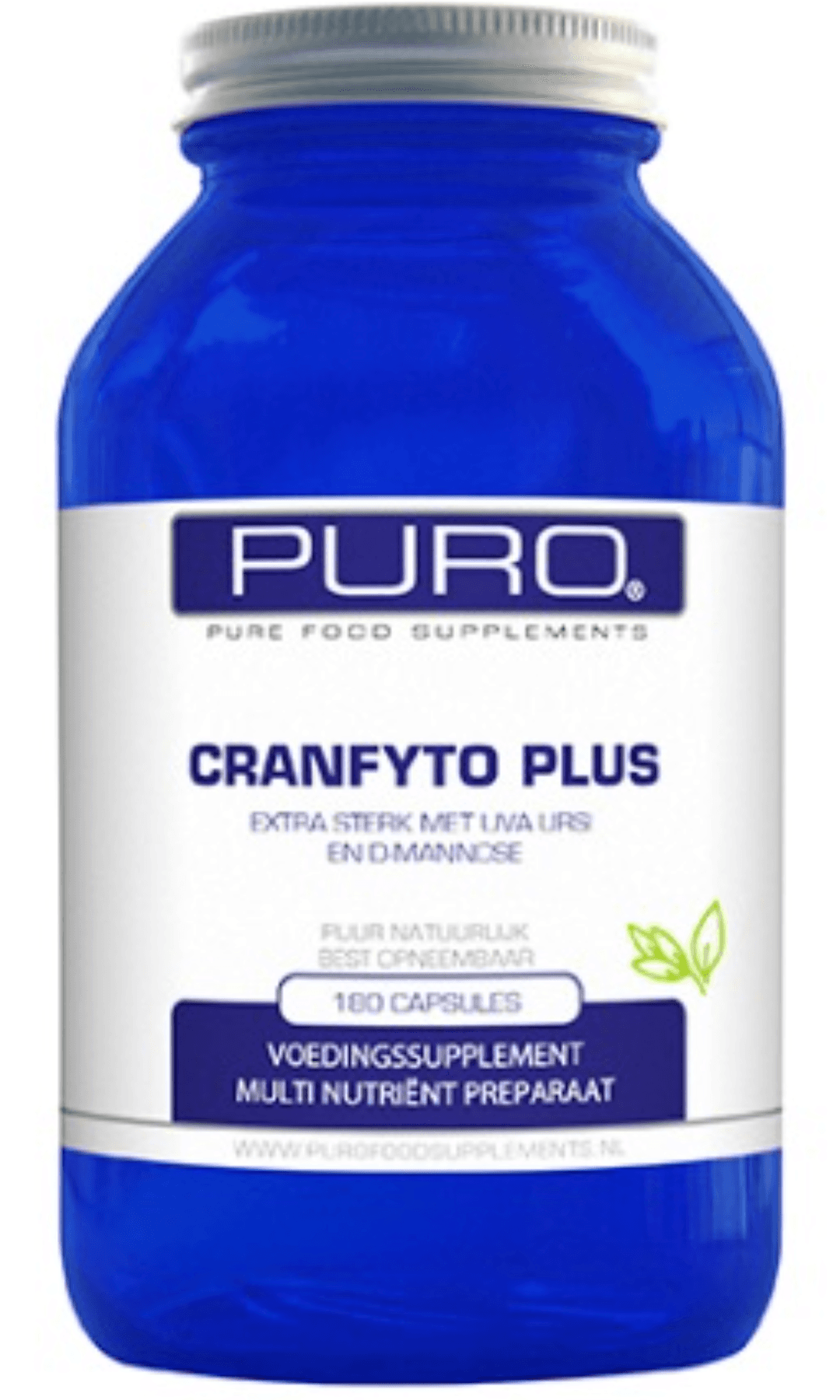 Picture of the author