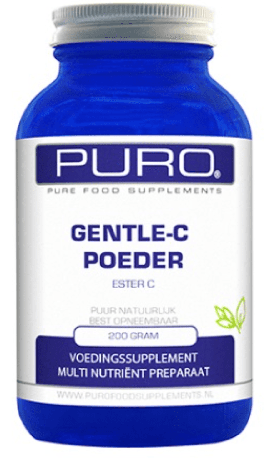 Picture of the author